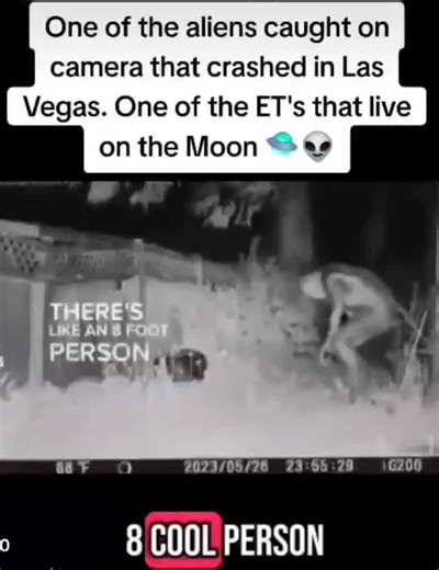 Las Vegas Alien encounter