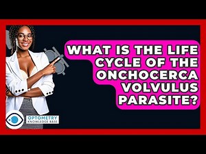 What Is The Life Cycle Of The Onchocerca Volvulus Parasite? - Optometry Knowledge Base