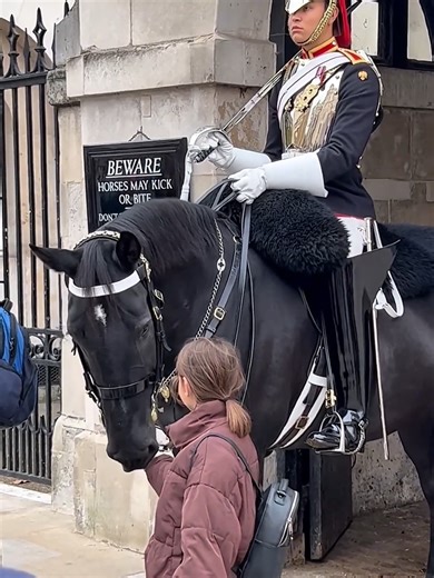 🥰 Horse Likes this Little Girl#viralvideo #kingguard