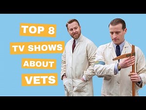 Top 8 Best TV Shows About Vets