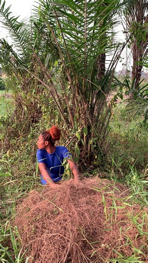 Talent Tv (@talent.tv8)’s videos with orijinal ses - snowbo.art