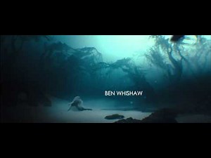 Skyfall Movie Theme by Adele [HD]