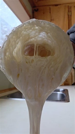 Stop guessing and start baking with confidence! 🥖✨ I’m sharing my complete starter care checklist so you’ll know exactly: Signs it’s bubbly and active ✅ Perfect for beginners and experienced bakers alike ✅ Keep your starter happy and thriving ✅ Get consistent, soft, delicious bread every time Comment “Yes” below and I’ll send you your FREE starter checklist today! 💛 | Jennifer Murray