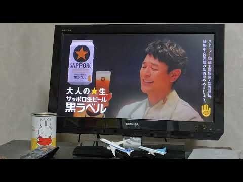 連続字幕CMサッポロビール、花王、サントリービバレッジ＆フード（字幕）