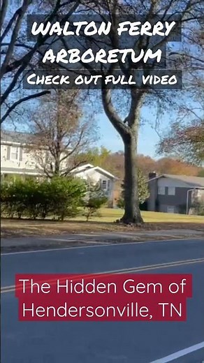 Check out the hidden gem of Hendersonville, TN - Walton Ferry Arboretum!