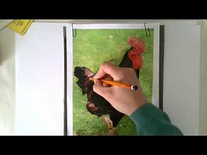 Carbon Paper Monoprinting at home