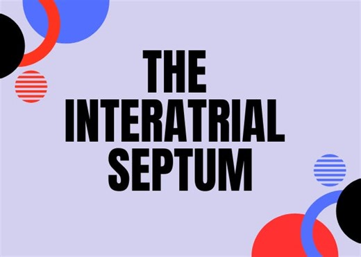 Exploring the Interatrial Septum: Functionality, Mobility, and Clinical Relevance