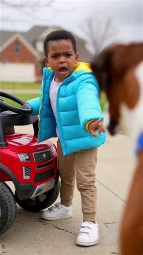 Tiny Toddler vs Big Dog: The Ultimate Standoff 😂🐶 #funnycats #cute #viralvideo #funnycat #cat