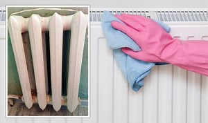 TikTok user reveals amount of dust gathered in a radiator