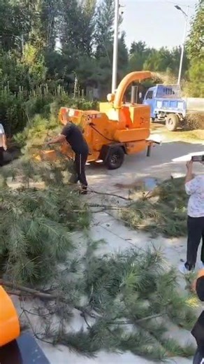 Ritlee 6140 wood chipper with 55hp wth live feed floor Extended