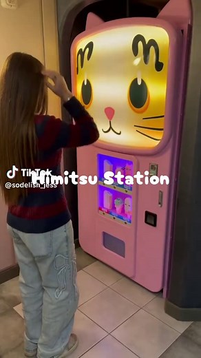 Exploring Himitsu Station: A Mystical Japanese Experience