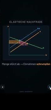 Warum der Staat deine Gewohnheiten besteuert 🚬⛽ (Das Geheimnis der Elastizität)