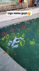 15K views · 187 reactions | Molobolo Spring, Tuburan , Cebu #ColdSpringWater #naturevibes #fbpost2025シ | Misis Clau | Facebook