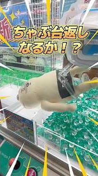 【わいえすコラボ】島二郎をみんなで救いたい！【映画ちいかわ】 #ちいかわ #クレーンゲーム #ufoキャッチャー #shorts