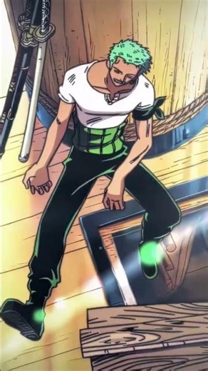 zoro's reflexes in sleep