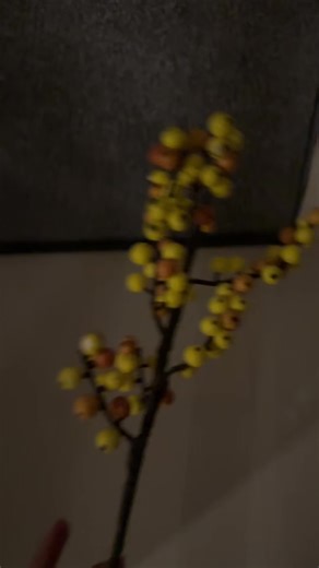 ‏طنش لحاك شادو صلجاقو