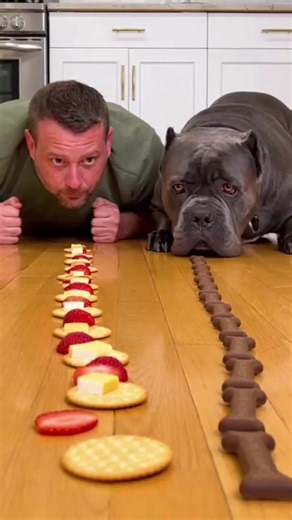 Crazy Bite Race Show  #Biteraceshow #BiteRaceShow #FoodRace #FunnyPets #ViralVideo | Bite Race Show | Facebook