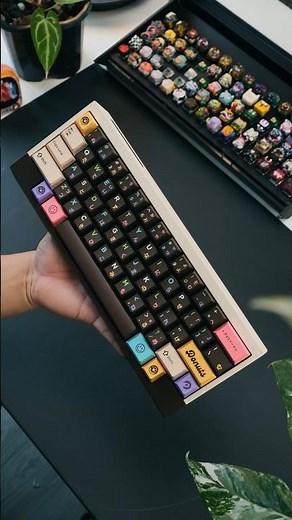 Unboxing the $600 keyboard from Angry Miao | AM Compact Touch R2 Donuts