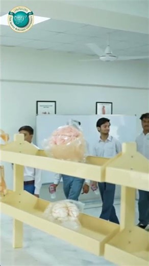 At The Saifee Burhani University, Counseling Comes First.