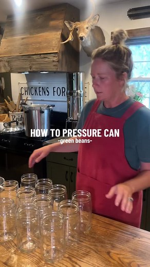 How to pressure can: green bean addition 🤎 a video from this summer before I was posting on FB, but a great step by step on how to run your pressure canner… you can do this!!! 🫙 . . . #canning #pressurecanning #canningtiktok #canningandpreserving #homestead #greenbeans #reidhomestead | Reid Homestead