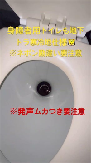 The toilets for people with disabilities are also underground tigers 🐯 and are designed for cold ...