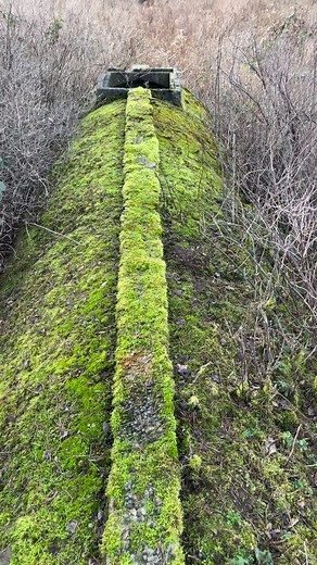 12M views · 10K reactions | Nicely hidden this one | Martin Urbex | Facebook