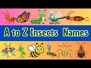 A to Z Insect Names | A to Z Insects for Kids | Learn 26 Cool Bugs from Ant to Zebra Butterfly