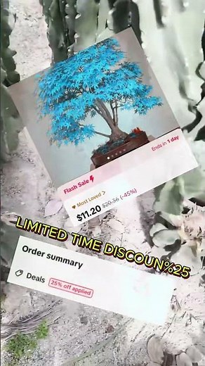 Unique Blue Maple Tree Seed for $8.40: Elevate Your Garden with Distinctive Beauty!