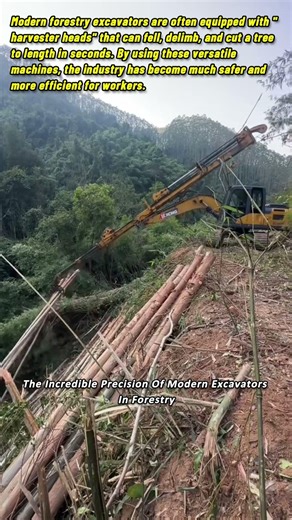 The Incredible Precision Of Modern Excavators In Forestry