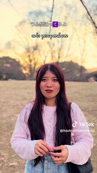 Understanding Language Mix in Conversations: Myanmar, Japanese, and Emotions