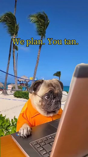 We curate. You coast. Luxe travel made effortless. At AP Custom Travel, we turn your vacation dreams into seamless, unforgettable experiences. From luxury resorts to exclusive adventures, we partner with trusted suppliers around the world to craft personalized itineraries made just for you. All you have to do is relax—we'll handle the rest! 🌴☀️ www.apcustomtravel.com #apcustomtravel #luxurytraveladvisor | AP_Custom_Travel