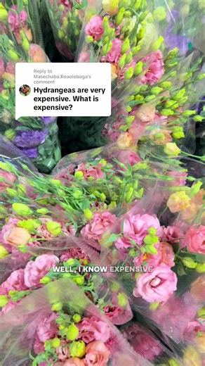 How to Arrange Fresh Flowers: Simple Flower Shop Tips