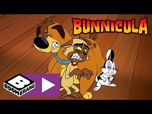 Bunnicula | Shape Shifter | Boomerang UK 🇬🇧