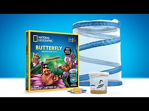 NATIONAL GEOGRAPHIC Butterfly Growing Kit