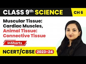 Muscular Tissue: Cardiac Muscles, Animal Tissue: Connective Tissue | Class 9 Biology Chapter 6