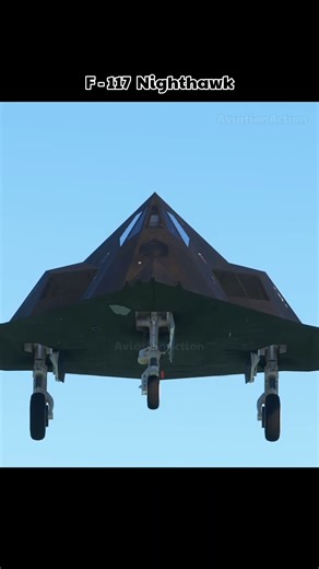 F-117 Nighthawk Unleashes Landing Gear!
