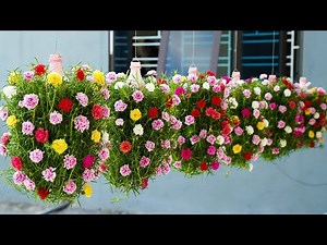Beautiful Balcony Garden Ideas With Plastic Bottles