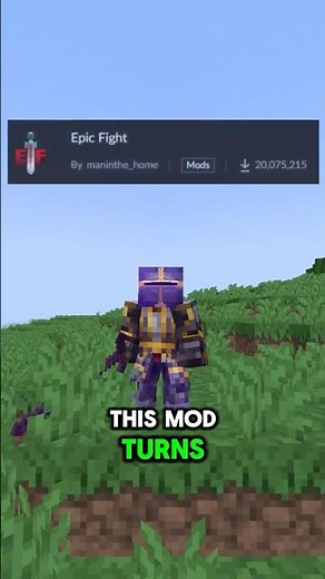 This Mod Makes Minecraft Fights INSANE! #minecraft