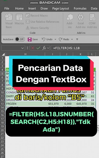 Excel Data Search Using TextBox