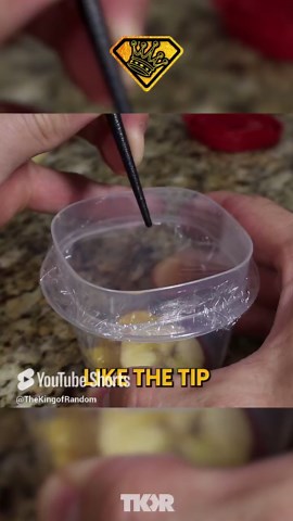 DIY Fruit Fly Trap That Actually Works Fast