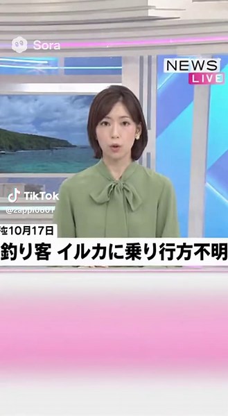 ニュース #ニュース速報 #沖縄 #イルカ #行方不明 #事件