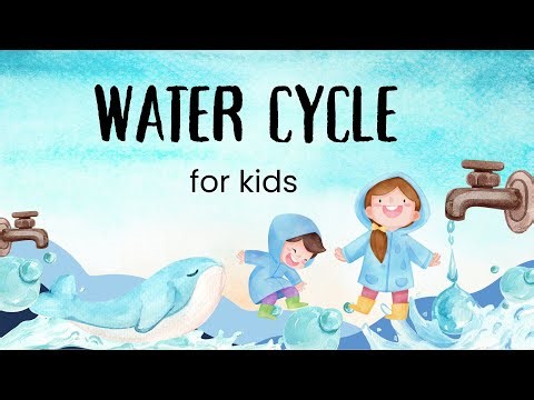 Water Cycle for Kids 🌧️💧 | Little minds with Alina | Best educational video for kids