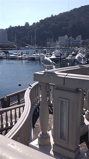 #熱海温泉 #熱海市