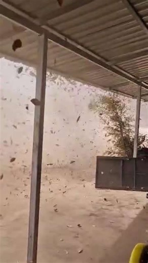 Dust devil tornado seen spinning across cassava farm