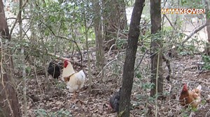 Chris and Mizzy Zdroj's home was sadly destroyed in the Bastrop County Complex fire. Ty and the team get to work to rebuild their house. - | Extreme Makeover Home Edition