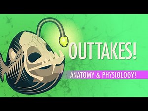 Outtakes #6: Crash Course A&P