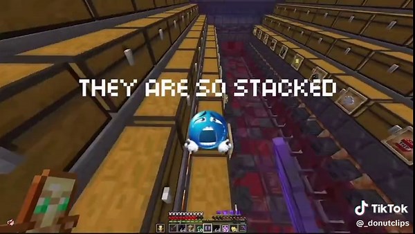 Exploring the Richest Characters in Donut SMP