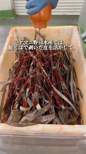 At Yamani Noguchi Suisan, we transform salmon skin into a crispy snack: Salmon Skin Chips Plain.