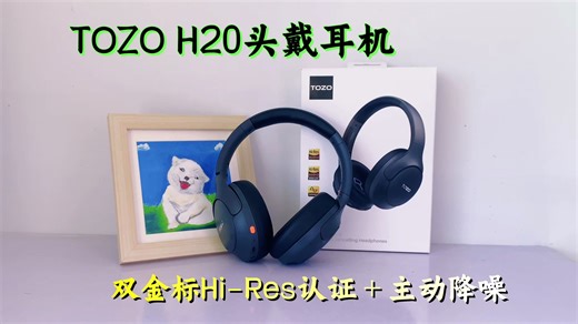 Hi-Res双金标认证！TOZO H20头戴耳机：三麦ENC通话降噪 65h续航