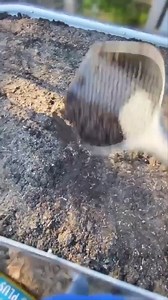 14K views · 654 reactions | We've Redefined The Raised Garden Bed:  Made from Metal Designed to Last 20+ Years ✅ Available in Multiple Sizes 凌 Naturally Yields Stronger Healthier Plants  Long-Lasting, Incredibly Strong  Easy to Assemble | Vego Garden | Facebook